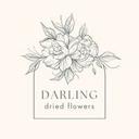 logo of Darling Dried Flowers