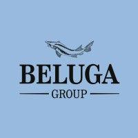 beluga group logo image