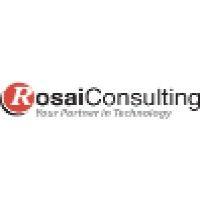 rosai consulting, inc. logo image