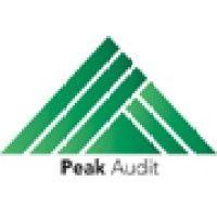 peak audit, inc. logo image