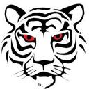 logo of Tiger Optics Media