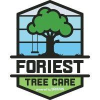 foriest tree care logo image