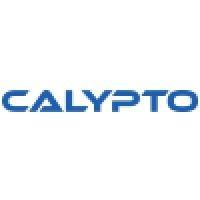 calypto design systems logo image