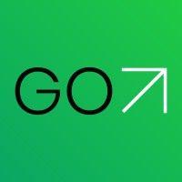 gosolo logo image