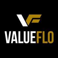 valueflo consulting, llc logo image