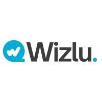 wizlu logo image