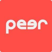 peer ai logo image