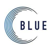 the blue agency logo image