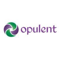 opulent infotech private limited logo image