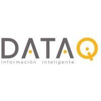 data iq logo image