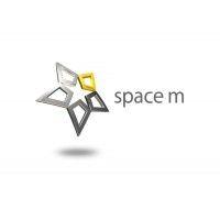 space m inc. (mcdonald's franchisee, japan) logo image