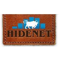 hidenet market reports logo image