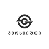 geosafety • ჯეოსეიფთი logo image