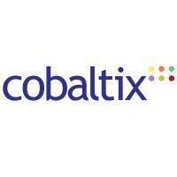 cobaltix logo image