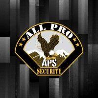 all pro security llc logo image