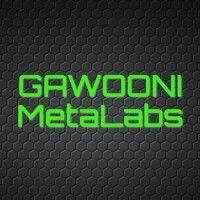 gawooni metalabs logo image