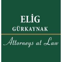 elig gürkaynak attorneys-at-law