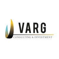 varg consulting and investment logo image