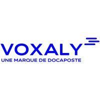 voxaly logo image