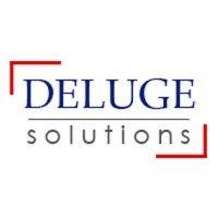 deluge solutions logo image