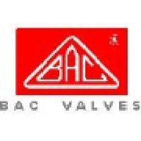 bac valves s.a logo image