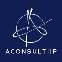 aconsultiip - associação de consultores de investimento e inovação de portugal