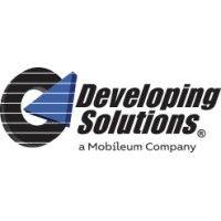 developing solutions, inc. logo image