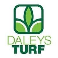 daleys turf