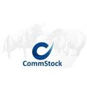 logo of Commstock Trading Ltd