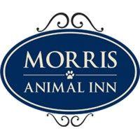 morris animal inn