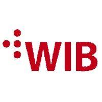 wib technologies logo image