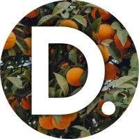 dynamic. 🍊 logo image