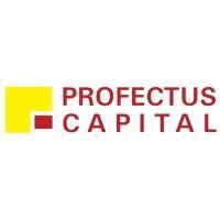 profectus capital pvt. ltd logo image