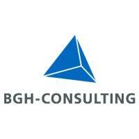 bgh-consulting logo image