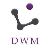 dwm technical solutions ltd logo image