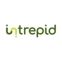 intrepid fiber networks logo image