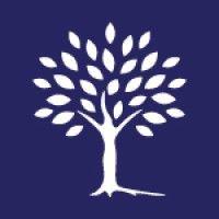 bay tree private equity llp logo image