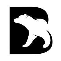 bearbottom clothing logo image