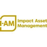 i-am vision microfinance logo image