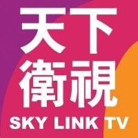 sky link tv logo image