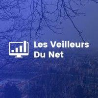 les veilleurs du net - webmarketing & e-business