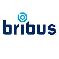 bribus b.v. logo image