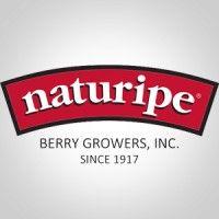 naturipe berry growers, inc. logo image