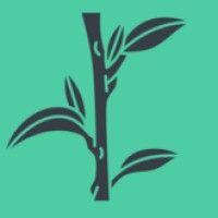 beanstalk consulting logo image