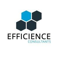 efficience consultants rennes saint-brieuc