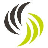 paladin capital advisors logo image