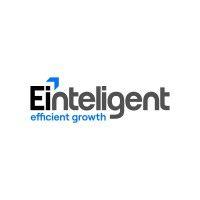 einteligent logo image