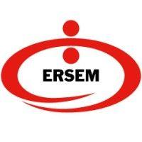 erdemir steel service center logo image