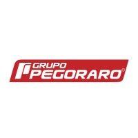 grupo pegoraro logo image