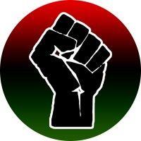 northeastern black student association (nbsa) logo image